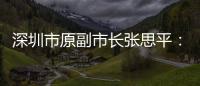 深圳市原副市长张思平：国有企业要有所为有所不为