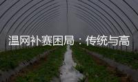 温网补赛困局：传统与高温下的赛程危机