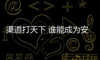 渠道打天下 谁能成为安防界的OPPO、VIVO?