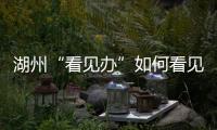 湖州“看见办”如何看见 �：20点播批评报道，21点须研究整改