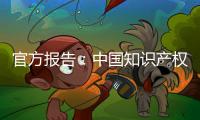 官方报告：中国知识产权公共服务能力和水平不断提升