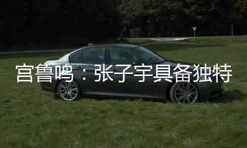 基本上展示出自身的宫鲁特点