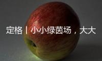 定格丨小小绿茵场，大大足球梦�！是什么	，让这群孩子有哭有笑？