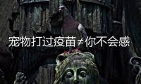宠物打过疫苗≠你不会感染！被宠物抓伤后应该怎么办？