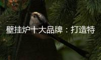 壁挂炉十大品牌
：打造特色产品 立足国际市场之林