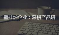 壁挂炉企业：深耕产品研发 把握消费需求