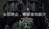 头部房企
，哪家拿地最少