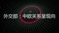 外交部
：中欧关系呈现向好势头 双方关系发展面临重要机遇