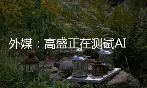 它就像我们的高盛I工新员工