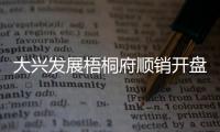 大兴发展梧桐府顺销开盘，38套认购、均价4.3万/平