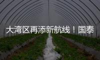 大湾区再添新航线！国泰乌鲁木齐—香港直飞航线起航