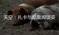 天空：扎卡与尼奥姆谈妥1000万欧年薪，费内巴切仍在劝说球员加盟