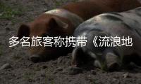 多名旅客称携带《流浪地球2》周边充电宝登机受阻：最高售价近千元

，如今面临处理难
