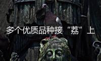 多个优质品种接“荔”上市，斗门今年荔枝总产量将达4500吨