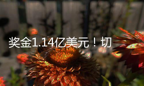 帕尔默推进后送出直塞