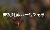 快排公司十年历程，霸屏兔 seo 的崛起与坚守