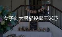 女子向大熊猫投掷玉米芯 成都熊猫谷通报：终生禁入