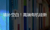 填补空白！高端有机硅新材料项目落户珠海经开区