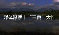 媒体聚焦丨“三夏”大忙正当时
，中联重科农机一线展英姿