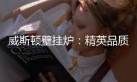 威斯顿壁挂炉：精英品质 温暖你我