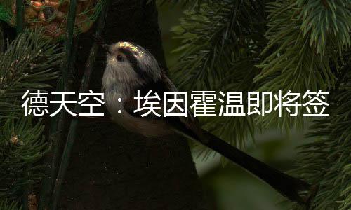 德天曾入选过法国国家队