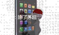 徐工：除了苏超
，更为热爱→苏皖鲁豫4省10市高手云集彭城