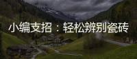 小编支招：轻松辨别瓷砖的品质