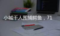 小城千人围捕鳄鱼�，71条已全部查明和追回