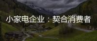 小家电企业
：契合消费者需求 打造品牌消费