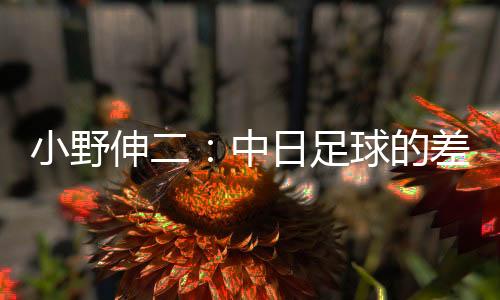 在东亚杯中国0-2不敌日本赛后