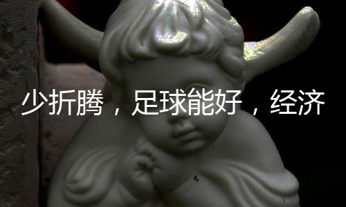 真球迷的少折嘘声和反对
