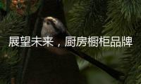 展望未来，厨房橱柜品牌以环保优势席卷市场