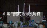 山东日照海边爆发浒苔	
，游客称有恶臭味	，当地回应正组织打捞
，专家解读影响和治理