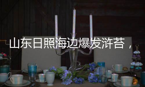 恶臭造成浒苔大量爆发