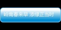 岭南春来早 添绿正当时
！香洲区大街小巷植树忙