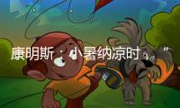 康明斯	：小暑纳凉时
，“芯”静自然强