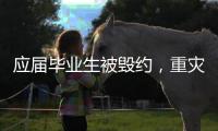 应届毕业生被毁约
，重灾区在当红行业