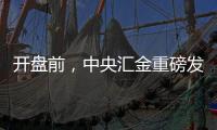 开盘前
，中央汇金重磅发声
