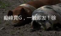 巅峰竞G，一触即发！徐工挖机掀起潇湘大地竞技热潮