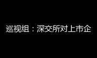 巡视组：深交所对上市企监管不力