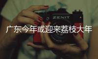 广东今年或迎来荔枝大年
，产量有望比去年激增三到四成