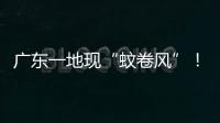 广东一地现“蚊卷风”	！网友�：头皮发麻