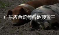 广东应急统筹各地预置三防抢险队伍240支	�
、14806人