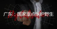 广东
：国家重点保护野生动植物物种数量呈扩大态势