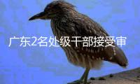 广东2名处级干部接受审查调查
，其中1人主动投案