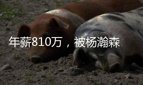 艾顿达不到这个标准