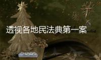透视各地民法典第一案 裁判背后体现了什么�
？