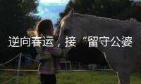 逆向春运，接“留守公婆”来京过年