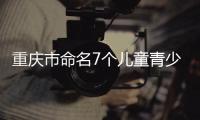 快排公司十年历程，霸屏兔 seo 的崛起与坚守