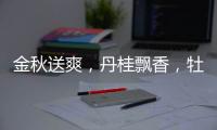 金秋送爽，丹桂飘香，牡丹水漆发货湖南郴州